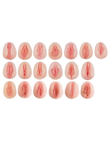 Collezione di 19 modelli di vulva...